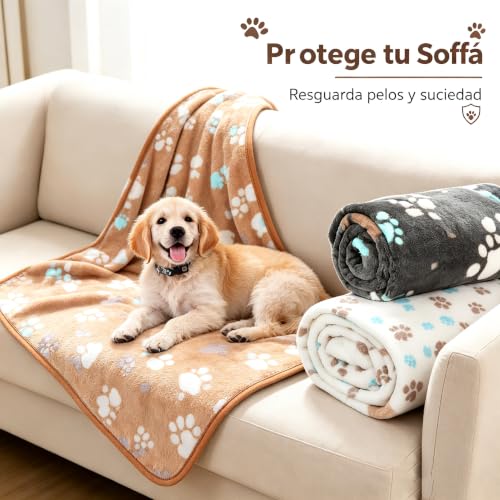 Máquinas pequeñas 5 Imagen adicional
