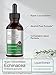 Horbaach Echinacea Drops Herb Tincture | 2 fl oz | Super Concentrated Root Extract | Alcohol Free Liquid | Vegetarian, Non-GMO & Gluten Free Supplement