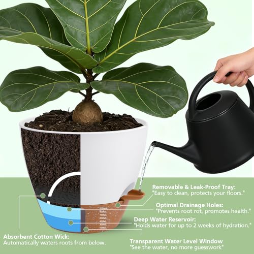ZDZDFF Self Watering Pots with Water Level Indicator, 12" 10" 9" 8" Large Plastic Flower Pots with Mesh Drainage Hole and Removable Saucer Reservoir for Indoor Outdoor Plants (White) — view 4