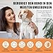 Beruhigungshalsband für Hunde 6 Packungen Hund Pheromon Calm Halsbänder Relief Angst Stress Trennung Lasts 120 Tage Relieve schlechtes Verhalten 25 Zoll Größe einstellbar für alle Hund (Grau)