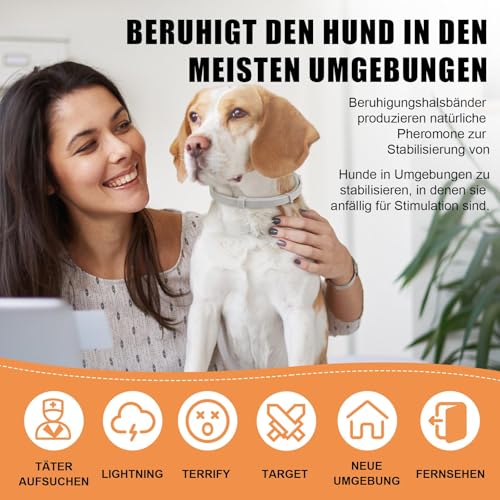 Beruhigungshalsband für Hunde 6 Packungen Hund Pheromon Calm Halsbänder Relief Angst Stress Trennung Lasts 120 Tage Relieve schlechtes Verhalten 25 Zoll Größe einstellbar für alle Hund (Grau)