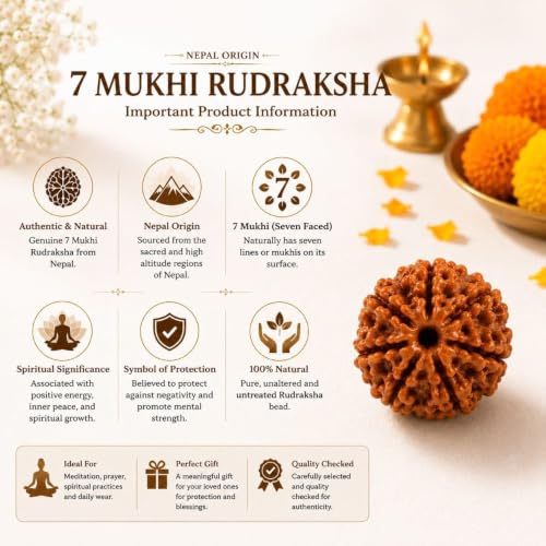 Image of Natural Seven Face Rudraksha Bead for Puja, Japa, Meditation & Spiritual Practices | Authentic Rudraksh for Men & Women (7 Mukhi Rudraksha)