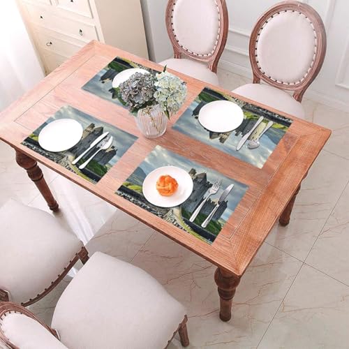 Sets de table lavables en PVC anti-tache pour préserver votre table - 6
