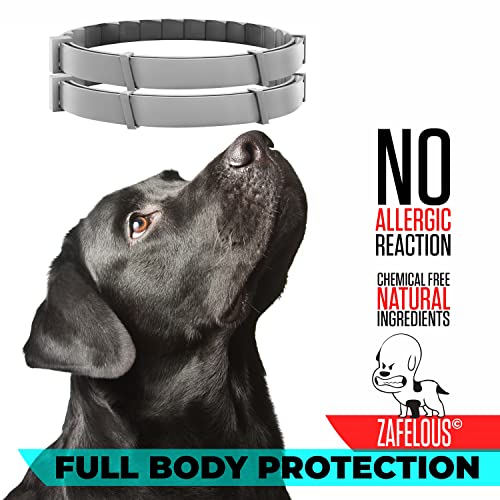 Flea And Tick Prevention For Dogs - Flea Collar - 2 Count #TOP5