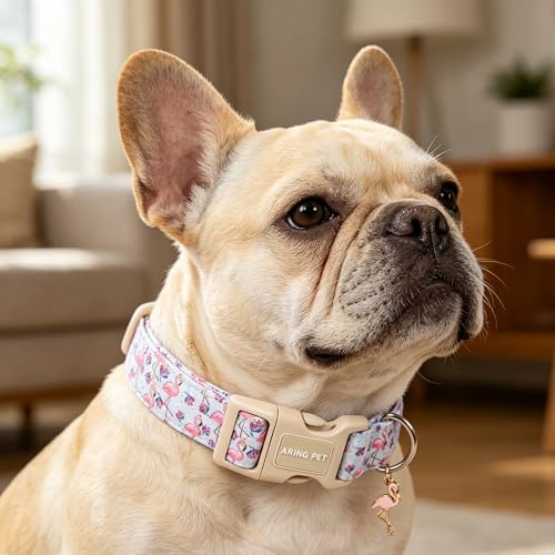 Image of ARING PET Summer Dog Collar, Cute Flamingo Doggy Collars for Puppy Small Medium Large Boy Girl Dogs, for Daily Photos Beach Walking Hiking Picnic-XL