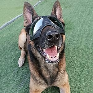   Dog-Goggles-Medium-or-Large-Dog-Sunglasses-Anti-UV-Waterproof-Windproof-Snowproof-Eye-Protection-Dog-skiing-Eyewear-for-Long-Snout-Dogs-Black