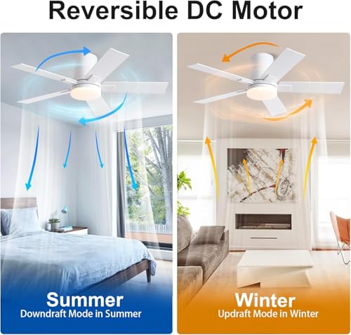 Image of Rayqueen 42 Inch Flush Mount White Ceiling Fans with Lights and Remote