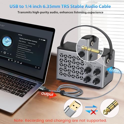 Cable USB a Jack 6.35 mm, 2 metros miniatura 3