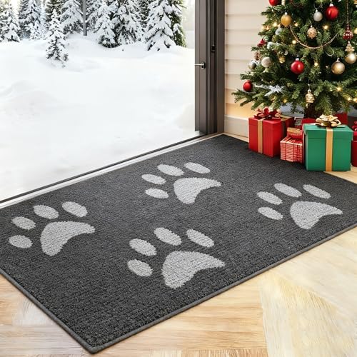 fannos Schmutzfangmatte Innen & Außen [50×80cm] – Fußmatte mit Rutschfester Unterseite | Saugstarke Fussmatte aussen/innen | Waschbare Schmutzmatte für Haustür & Eingangsbereich