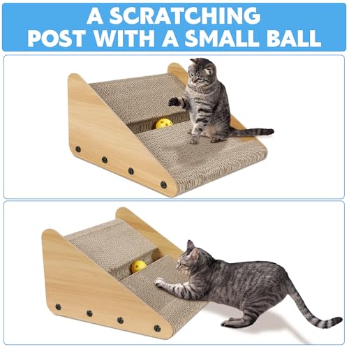 Rampilla para caja de arena para gatos y gatitos miniatura 7