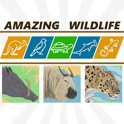 Babirusas | Takins | Amur Leopard