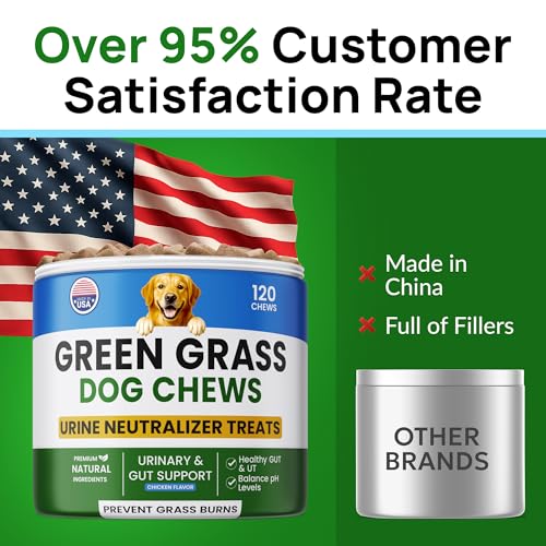 PAWFECTCHEW Green Grass Dog Chews w/Probiotics - Prevent Urine Burning Grass - Dog Pee Grass Spot Saver - Dog Urine Neutralizer for Lawn Treats, UT & Gut Health for Dogs, Lawn Burn from Dog Urine - Image 7