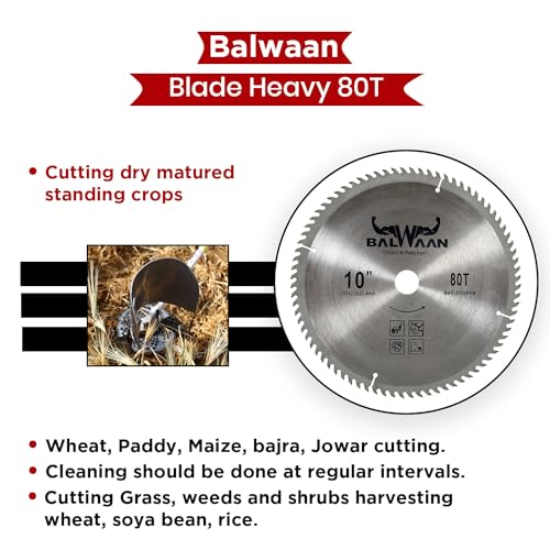 Image of Balwaan Krishi 80 Teeth TCT Blade for Brush Cutter /Crop Cutter Attachment (80Tx10'') /Heavy Duty Blade /Suitable for All Types of Brush Cutter