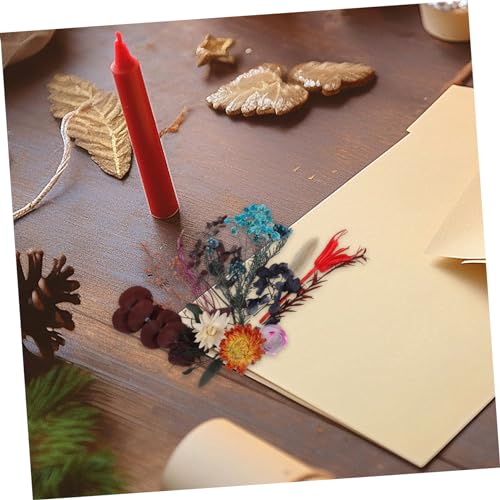 Kit mini flores secas delicadas para manualidades miniatura 7