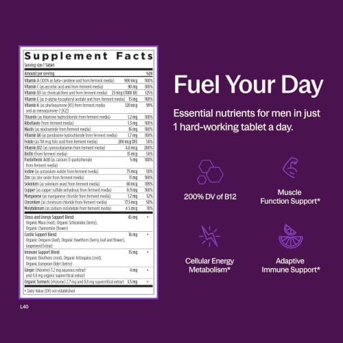 New Chapter Every Man's One Daily Multivitamin, 72 Tablets - image 3