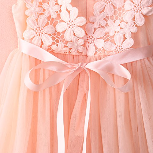 Elegant Feast Baby Girls Princess Lace Flower Tulle Tutu Gown Formal Party Dress (1-2 Years, Pink)