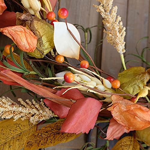 Cir Oases 22-23 Inch Fall Wreath Berries Front Door Wreath Artificial Leaves Grain Wreath Harvest Wheat Ears Garland Autumn Wreath For Front Door Home Wall Party Fall Festival Decor #TOP7