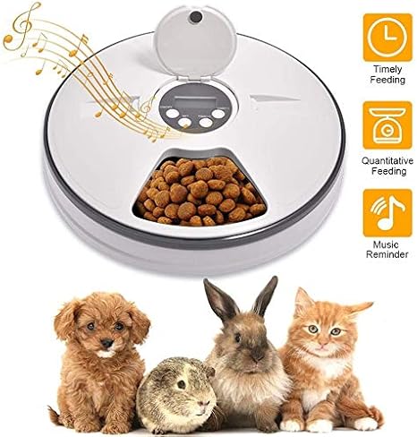 timed rabbit feeder