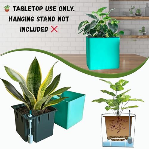 Image of Indian Discovery Self Watering Tabletop Planter| Flower Pots for Home, Terrace, Balcony, Vertical Garden Decor Flower Pots(1 PC, Peacock Green, Square) |6 Inch UV-Resistant Plastic Plant Pots