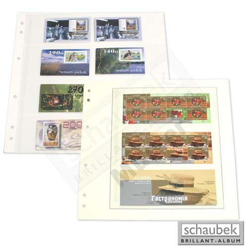 Schaubek Blanko-Like 10 Blatt schwarz SBL01S-10 avec 1 folientasche 188 x 243 mm
