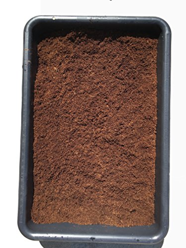 Nature's Premium Organic Coco Coir 1 Pound Brick, Garden Soil, Reptile Bedding, Hydroponics, Growing Medium, Aquaponics, Soil Amendment #TOP2