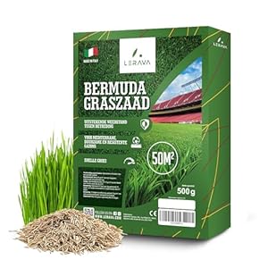 LERAVA® Graszaad Bermudagras [Extreem Betredingsbestendig] – 50m² – Droogtebestendige en snelgroeiende zaden – Ideaal voor mediterrane en kustnabije gazons – Verbruikt 20% minder water – 500g
