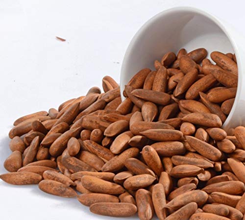 Foodcan 100% Natural Exotic Pine Nuts - 50 Gram | Chilgoza Giri | Chilgoja Seeds | Pine Seeds Jumbo Size | Pure Dry Fruits | Pure & Natural (B08RJ6RPRX) Amazon Price History, Amazon Price Tracker