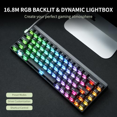 Image of Hexgears MX68 Mechanical Gaming Keyboard with Hall Effect Lemon Switches