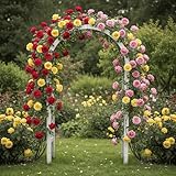 Kletterrosen-Kollektion wurzelnackt – Metanoia/Musimara/Indigo – winterhart, mehrjährig, Holland Pflanzen für Mauern, Bögen & Zäune – 3 Pflanzen – keine Samen, nicht künstlich