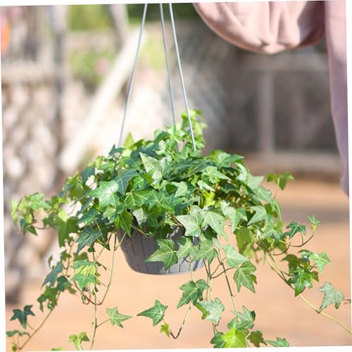 Jardinières suspendues avec trous de drainage et crochets robustes lot de 4 - 4