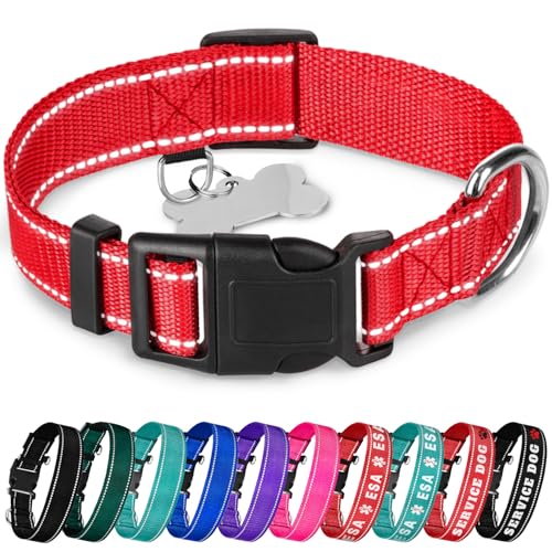 TECEUM Reflective Pet Collar â€“ Red â€“ M â€“ Basic Nylon Dog Collar â€“ Quick Release Buckle â€“ Fits Small, Medium and Large Dogs, Puppies, Cats â€“ ESA & Service Dog Options