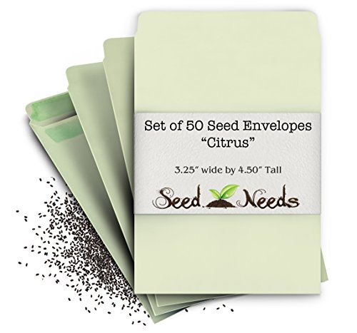 50 Blank Citrus Green Seed Envelopes (Self Sealing) - Customize Your Own Seed Packets! 50 Blank Citrus Green Seed Envelopes (Self Sealing) - Customize Your Own Seed Packets!