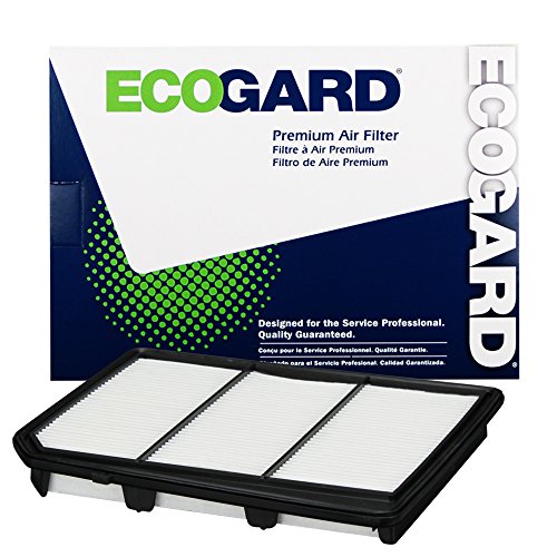 ECOGARD XA10599 Premium Engine Air Filter Fits Nissan Titan 5.6L 2017-2019