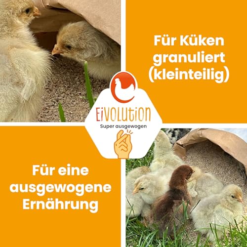 Eivolution Bio-Aufzuchtfutter Geflügel 14kg - Proteinreich - Für Küken, Hühner, Wachteln, Puten