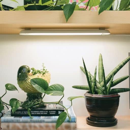 Miniatura 9 de Modern Sprout Growbar V2 Grow Light- Luz de crecimiento LED inteligente para interiores