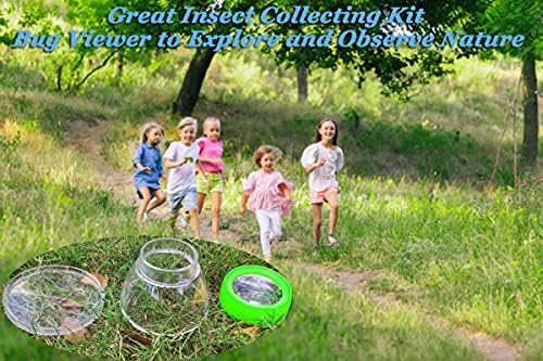 Bug Viewer for Kids with 5X Magnifier,Insect Observation Kit Built-in 7cm Ruler with 2 Slant Tweezers Blue & Red Color Bug Viewer Catcher Cage for Kids Science Nature Exploration (4Pack Green) 8 514PvENBRGS. AC