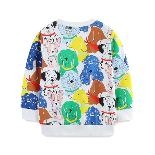Boys Sweatshirts Casual Sweatshirts Cotton Sweatshirts Long Sleeve T-shirts Crew Neck Cartoon Tops for Boys-2392