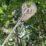 ピッカー フルーツ棒 高枝切りバサミ 伸縮式アップルピッキングポール バスケット付き フルーツピッキングツール 梨マンゴー桃コレクションポール棒 2.5 3 4 6 M 10 M 手動収穫機 ガーデニング果樹園温室用 (Color : B, Size : 4M/13.1FT)