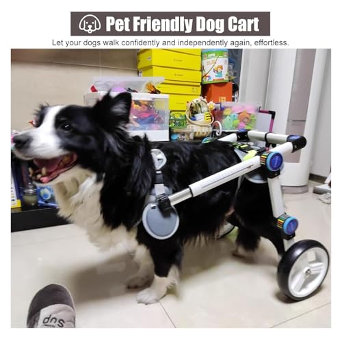 Silla de ruedas ajustable cura la inmovilidad canina: carrito de apoyo trasero Talla S 4