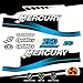 Generico Kit d'autocollants pour moteur Marino Fuoribord Mercury 250 CV - Version Optimax A