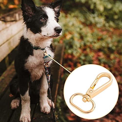 LECTNORE 12 Pezzi moschettoni d'oro per Borse