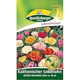 kalifornischer mohn kapseln Ernte: Juni-Sep Kalifornischer Goldmohn, Gefüllte Mischung