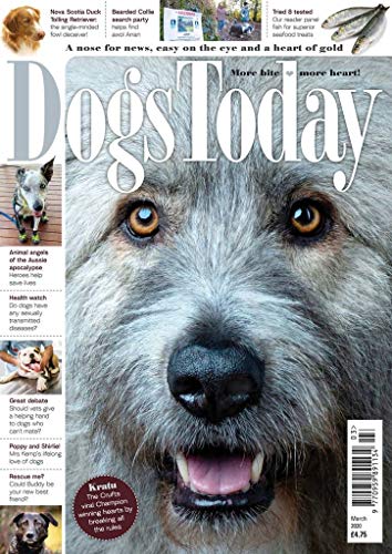 Dogs Today Magazine