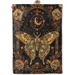 Moth and Moon Phases