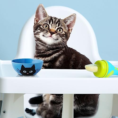 Fromm Kitten Gold Dry Cat Food - Premium Cat Food For Kittens & Pregnant Or Nursing Cats - Chicken Recipe - 10 Lb #TOP1