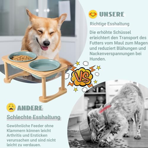 SPUNKYJUNKY Futterstation Hund Erhöht Hundenapf Keramik Erhöhter Futternapf für Hunde und Katzen (800ml, Dunkelgrün)