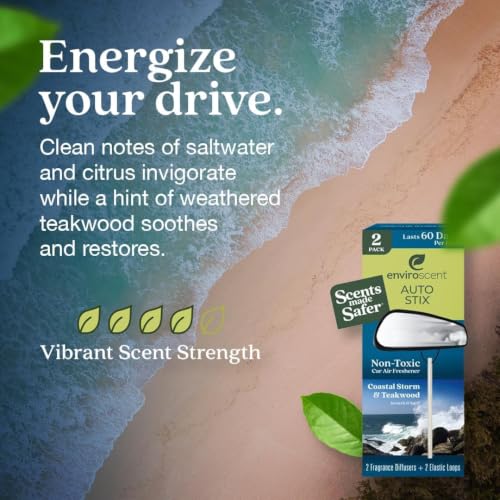 Image of Enviroscent Auto Stix 6ct - Coastal Storm & Teakwood 2pc