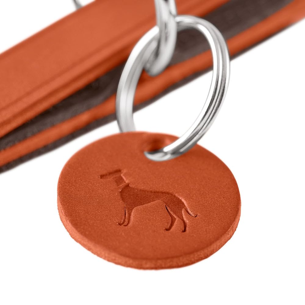 HUNTER LEMVIG - Correa Ajustable para Perros (Piel, 3 Posiciones, Ajustable, Resistente y Duradera, cómoda, Elegante y Moderna, Fabricada en Alemania, tamaño: 15/200)