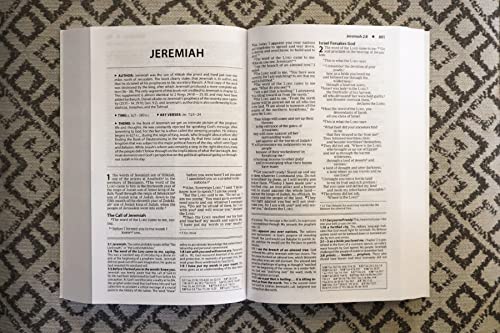 Niv, Basic Study Bible, Economy Edition, Paperback, Blue, Red Letter: New International Version, Blu