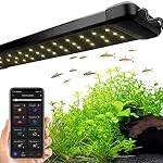 Aquarium Lights Metal Halide